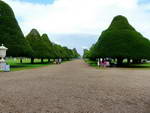 London  Schloß Hampton Court Der Schloßgarten (GB).
